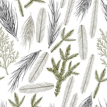 Vector  seamless pattern with hand drawn Christmas plants Stock Illustration