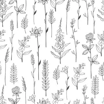 Vector seamless pattern with hand drawn wild herbs Stock Illustration