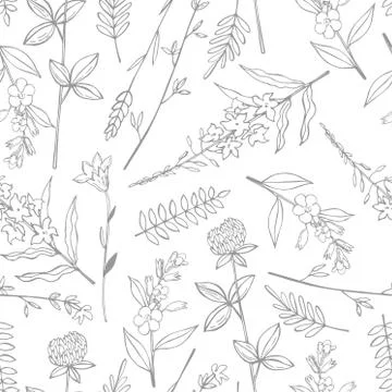Vector seamless pattern with hand drawn wild herbs Illustrazione stock
