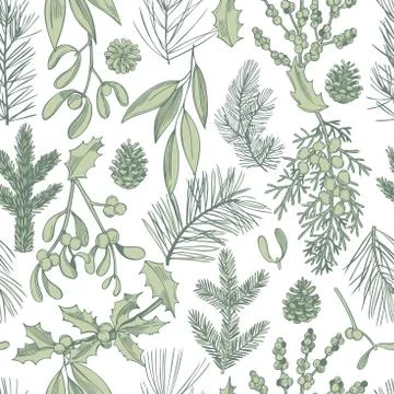 Vector  seamless pattern with hand drawn Christmas plants Stock Illustration