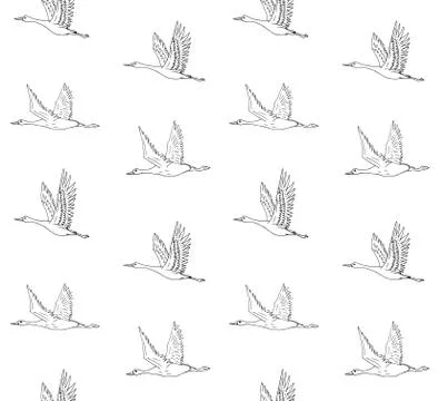 Vector seamless pattern of hand drawn flying crane イラスト素材