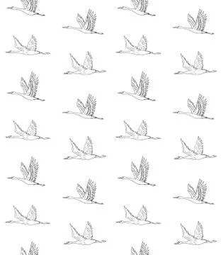 Vector seamless pattern of hand drawn flying crane Stock Illustration