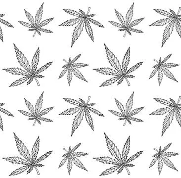 Vector seamless pattern of hand drawn hemp leaves Stock Illustration