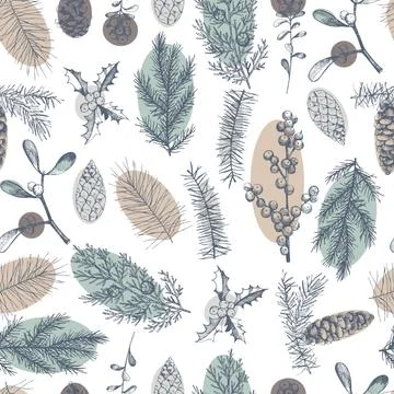 Vector  seamless pattern with hand drawn Christmas plants Stock Illustration