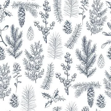 Vector  seamless pattern with hand drawn Christmas plants Stock Illustration
