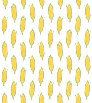 Vector seamless pattern of hand drawn corn Stock Illustration