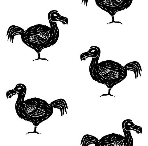 Vector seamless pattern of hand drawn dodo bird Stock Illustration