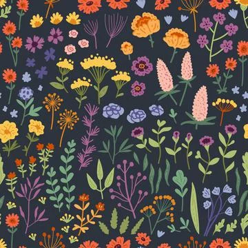 Vector seamless pattern with hand drawn wild flowers Stock Illustration