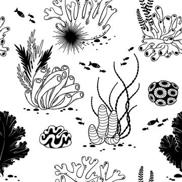 Vector seamless pattern hand drawn seabed-2 Illustrazione stock