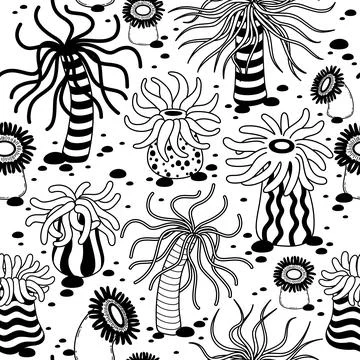 Vector seamless pattern hand drawn seabed-6 イラスト素材