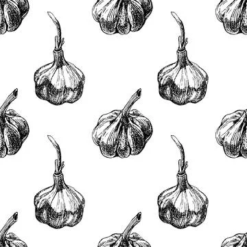Vector seamless pattern hand drawn of garlic. Herbs and spices sketch illustr イラスト素材