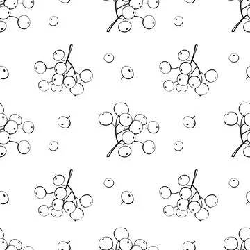 Vector seamless pattern of hand-drawn contour bunches of rowan berries, vibur Illustrazione stock