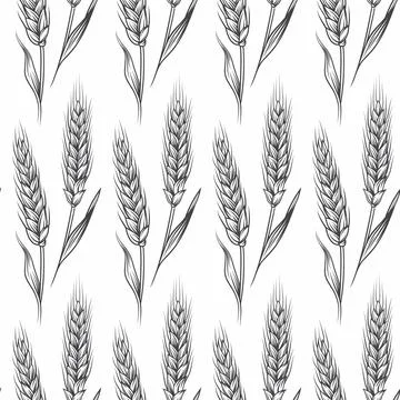 Vector Seamless Pattern with Hand Drawn Agriculture Wheat, Cereal Ears. Organic イラスト素材