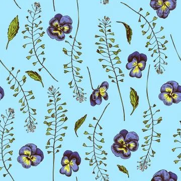 Vector seamless pattern of heartseases and shepherds purse. Hand drawn vector Stock Illustration
