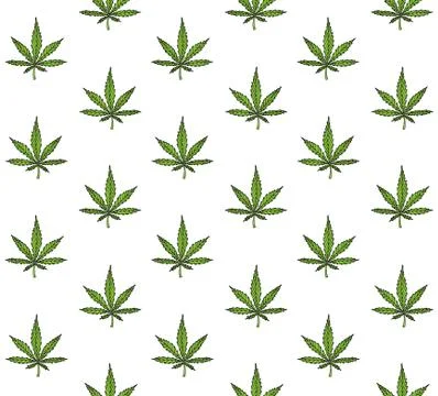 Vector seamless pattern of hemp cannabis Stock Illustration