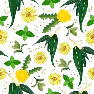 Vector seamless pattern of herbs good for lungs health Stock Illustration