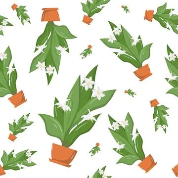 Vector seamless pattern of home flowers in a pot, blooming white lilies, pi.. Illustrazione stock