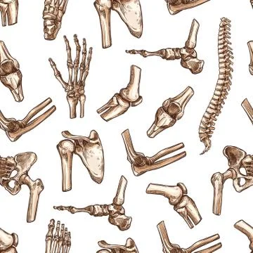 Vector seamless pattern human body bones sketch イラスト素材