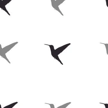 Vector seamless pattern. Hummingbird silhouette. Isolated on a white backgrou Stock Illustration