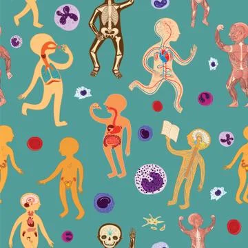 Vector seamless pattern with illustration of human anatomy Stock Illustration