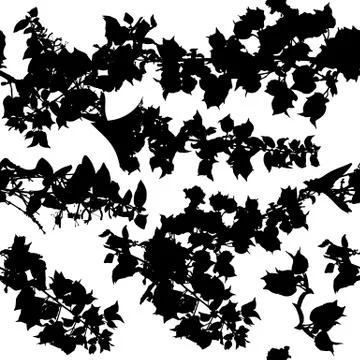 A vector seamless pattern of ink branches with leaves and flowers Stock Illustration