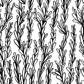 Vector seamless pattern with ink drawing liana look floral elements. Hand d.. Stock Illustration
