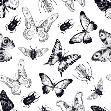 Vector seamless pattern with insects and butterflies. Entomological background Illustrazione stock