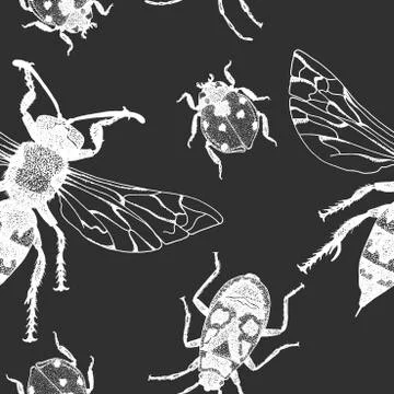 Vector seamless pattern with insects Stock Illustration