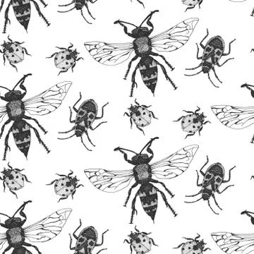 Vector seamless pattern with insects Stock Illustration