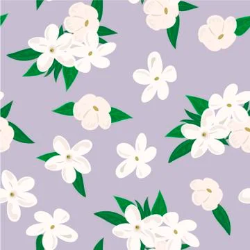 Vector seamless pattern with jasmine flowers. on purple background Stock Illustration
