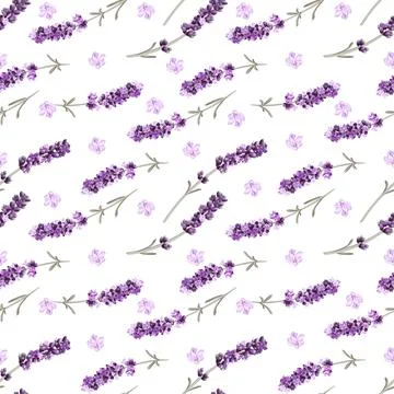 Vector seamless pattern with lavender sprigs and pink flowers Stock Illustration