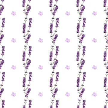 Vector seamless pattern with lavender twigs and pink flowers Stock Illustration