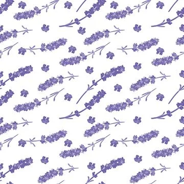 Vector seamless pattern with lavender twigs in lilac Stock Illustration
