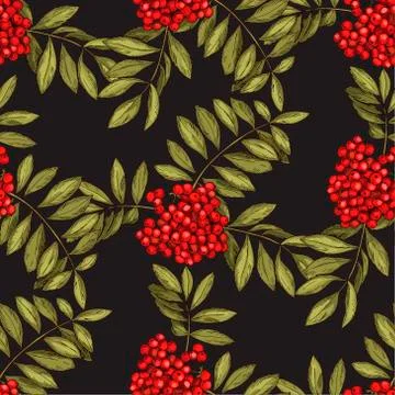 Vector seamless pattern with leaves and fruits of mountain ash on a black  Stock Illustration