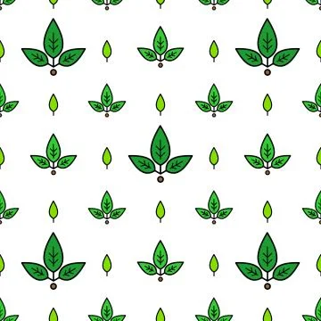Vector seamless pattern of leaves of different sizes; on white background. Pa Stock Illustration