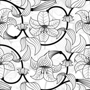 Vector seamless pattern with lily flowers on white background. tropical summer イラスト素材