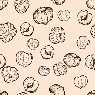Vector seamless pattern of line art hazelnuts. Hand painted nuts on pastel beige Stock Illustration