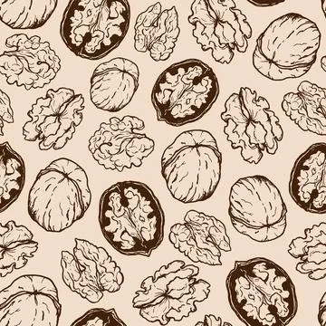 Vector seamless pattern of line art walnut. Hand painted nuts on pastel bei.. Stock Illustration