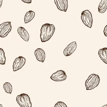 Vector seamless pattern of line art almond. Hand painted nuts on pastel bei.. Stock Illustration