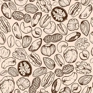 Vector seamless pattern of line art mix nut. Hand painted nuts on pastel beig Stock Illustration