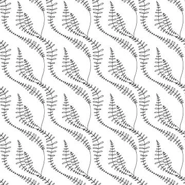 Vector seamless pattern. Linear graphic design. Floral linear background. Sty Stock Illustration