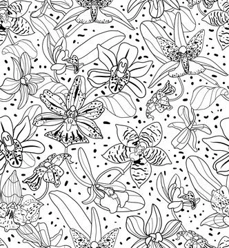Vector seamless pattern of linear hand drawn orchid flowers. Stockillustratie