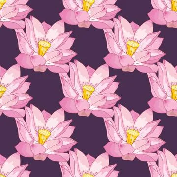 Vector seamless pattern of Lotus flowers, delicate pink colors Illustrazione stock
