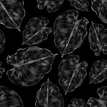 Vector. Seamless pattern. Luxurious white floral print on a black background. Stock Illustration