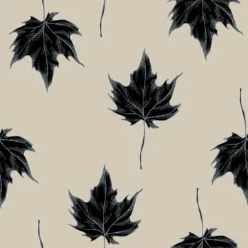 Vector seamless pattern of maple leaves. Hand drawn vector illustration 스톡 일러스트