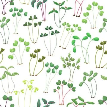 Vector seamless pattern with microgreens. Healthy young seedlings. Healthy ec 스톡 일러스트