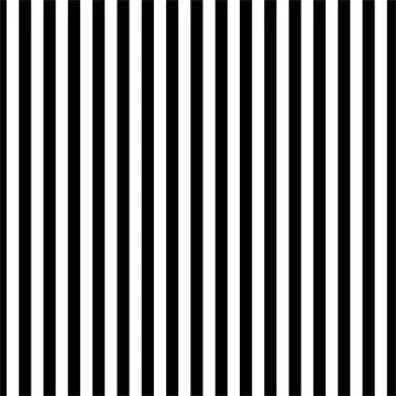 Vector seamless pattern. Modern stylish texture. Monochrome line art. Stock Illustration