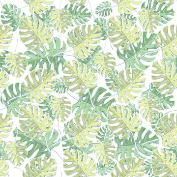 Vector seamless pattern with monstera leaves on a white Illustrazione stock