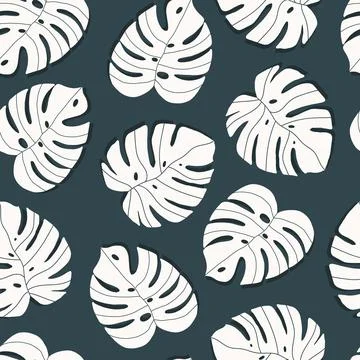 Vector seamless pattern of monstera leaves イラスト素材