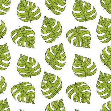 Vector Seamless Pattern with Monstera Leaves in Cartoon Style on White . Stock Illustration